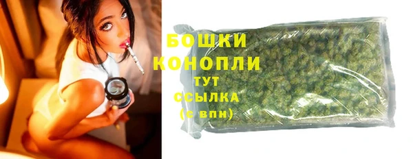 гашик Богородицк