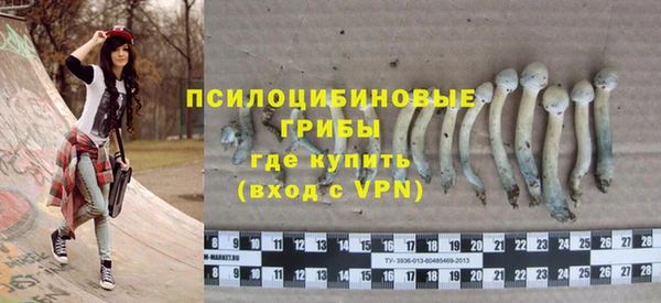гашик Богородицк