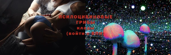 стаф Беломорск