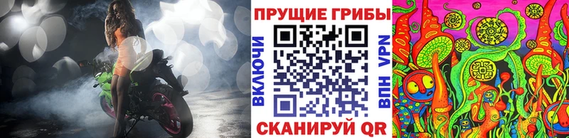 Купить где  Омутнинск  Псилоцибиновые грибы ЛСД 